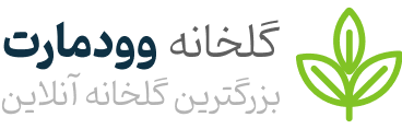 آنه دیری | یک انتخاب متفاوت